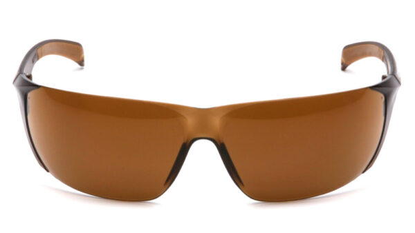 Eye Protection Brown