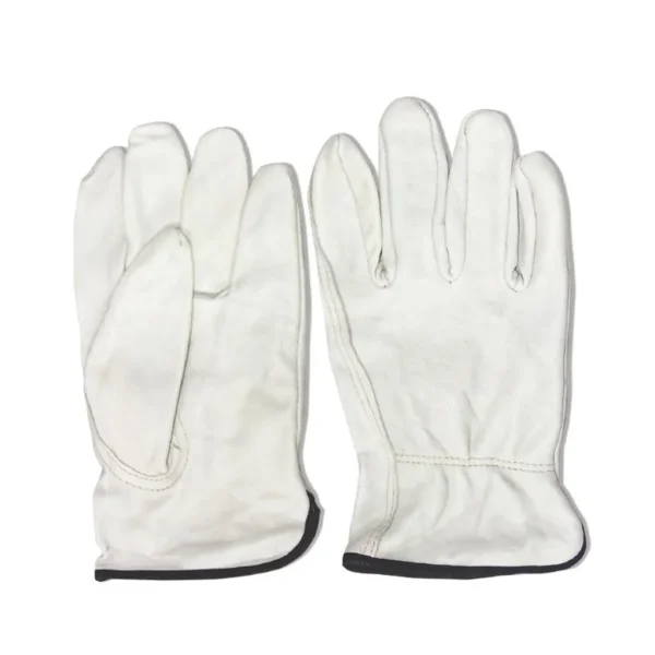 EverGood - Gloves Argon