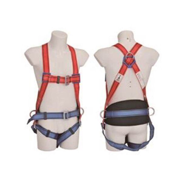 SAFETY BELT